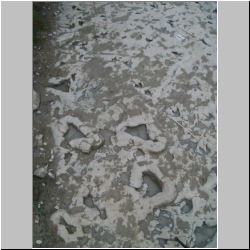 100_0863 (2009-27-07).JPG